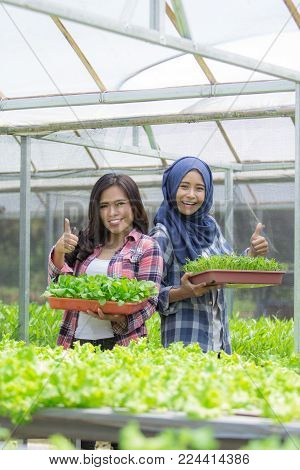 two asian woman holding a small green plant. new life concept. hydrophonic farming