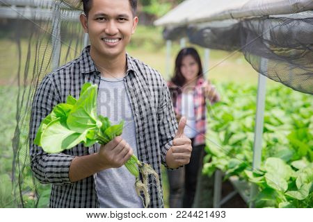 portrait of happy male farmer in modern hydrophonic farm