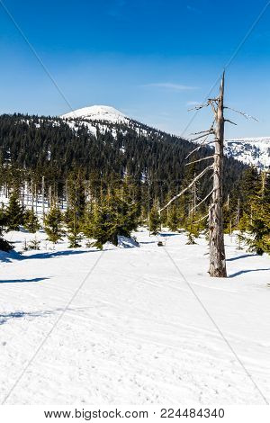 Krkonose (giant Mountains) In Winter - Czech Republic, Europe