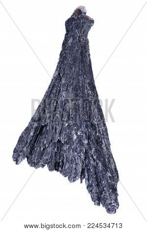 Well defined black Kyanite fan from Brazil, isolated on white background