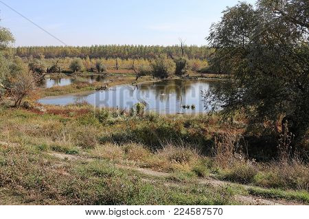 Swampy resort in autumn clear sky sunbathed day