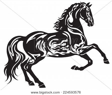 The Flaming Black Stallion Horse In Free Movement . Side View Silhouette . Tribal Tattoo Style Vecto
