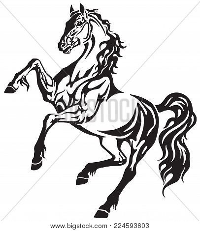 The Horse Stallion In The Rearing Free Movement . Elegant Tribal Tattoo Style Black And White Vector