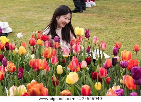 LISSE, NETHERLANDS - APRIL 19, 2017: Young girl reading a book in the Keukenhof gardens in Lisse, Holland, Netherlands.