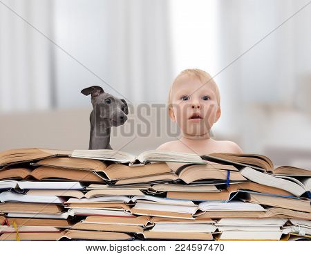 Small baby is surrounded by big stack of books
