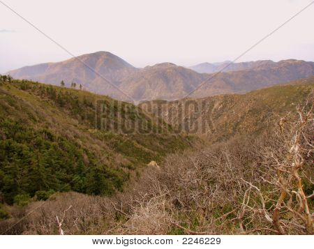 산과 구름 위에 보라색 하늘