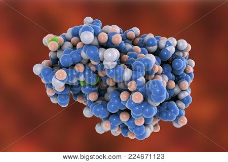 Molecular model of snake venom metalloproteinase from the snake Crotalus adamanteus, 3D illustration