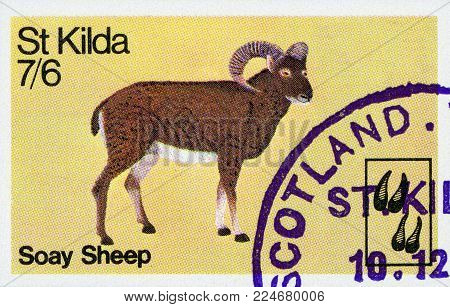 SCOTLAND - CIRCA 1999: A stamp printed in Scotland shows Soay sheep, Scotland, circa 1999