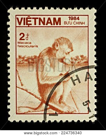 Moscow, Russia - February 02, 2018: A stamp printed in Vietnam shows Crab eating Macaque (Macaca fascicularis), series 
