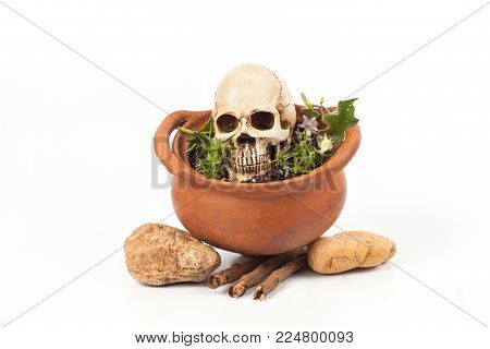 Boiled Skull In Clay Pot With Some Herb On White
