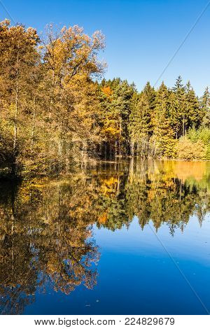 Svycar Pond And Beautiful Colorful Autumn Beeches - Voderady Beechwood, Czech Republic