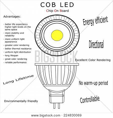 COB led bulb with white isolated vector