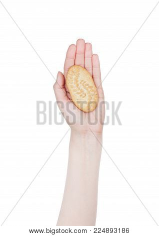Female hand hold healthy breakfast biskuits on white background