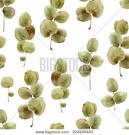 Seamless herbal pattern with eucalyptus leaves. Watercolor illustration