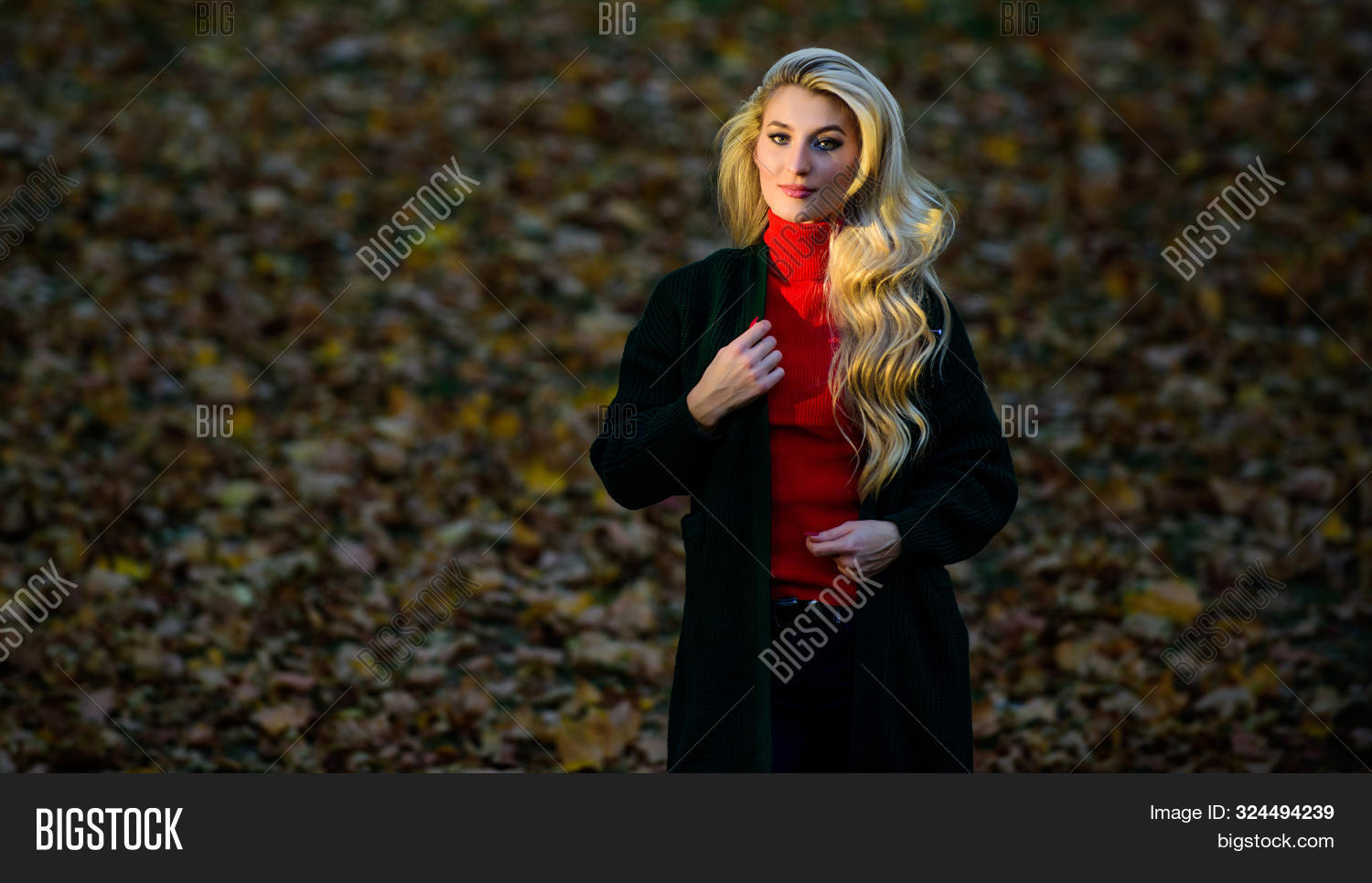 Girl Gorgeous Blonde Image Photo Free Trial Bigstock