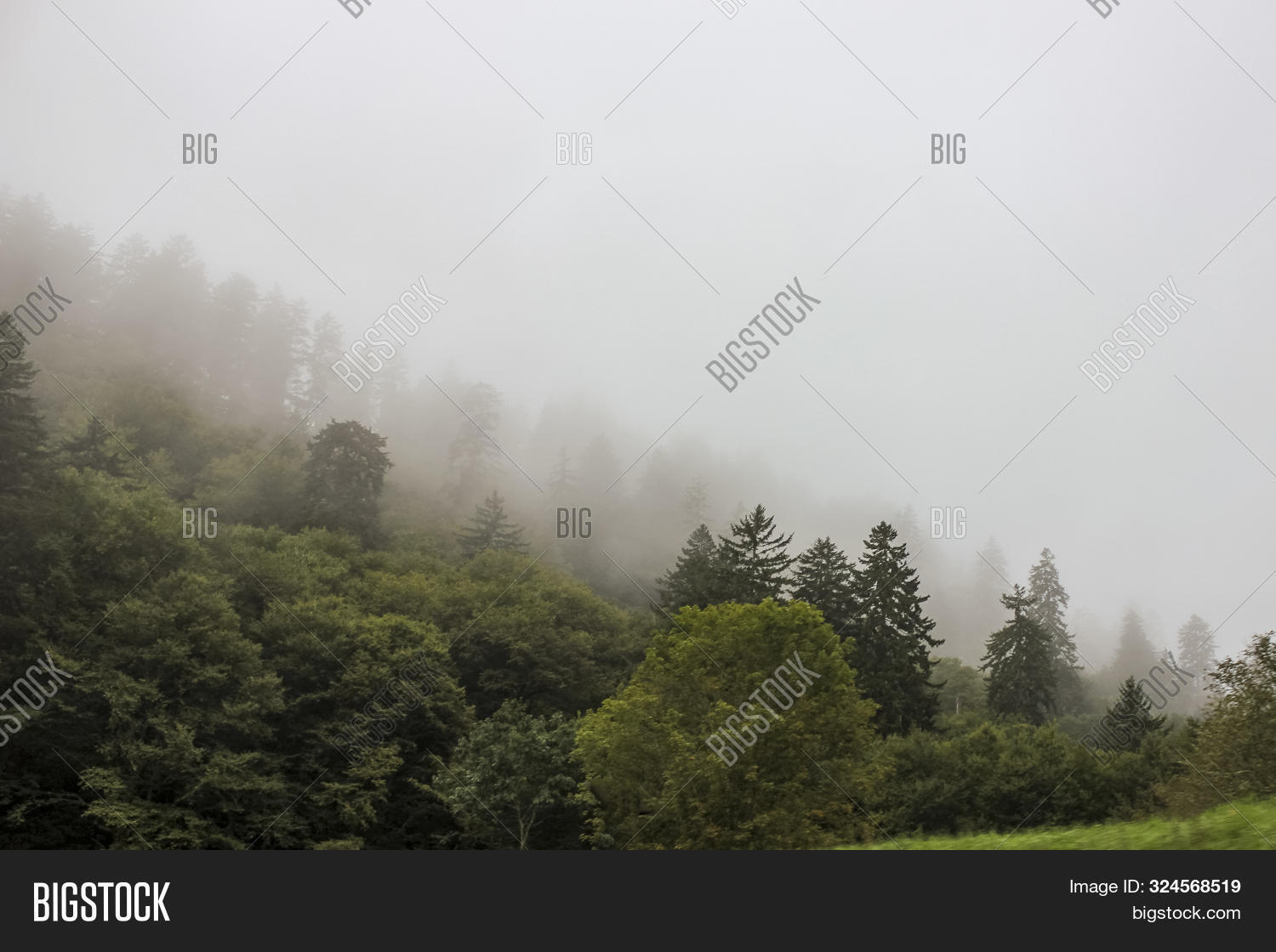 Imagen y foto Misty Weather On (prueba gratis) Bigstock