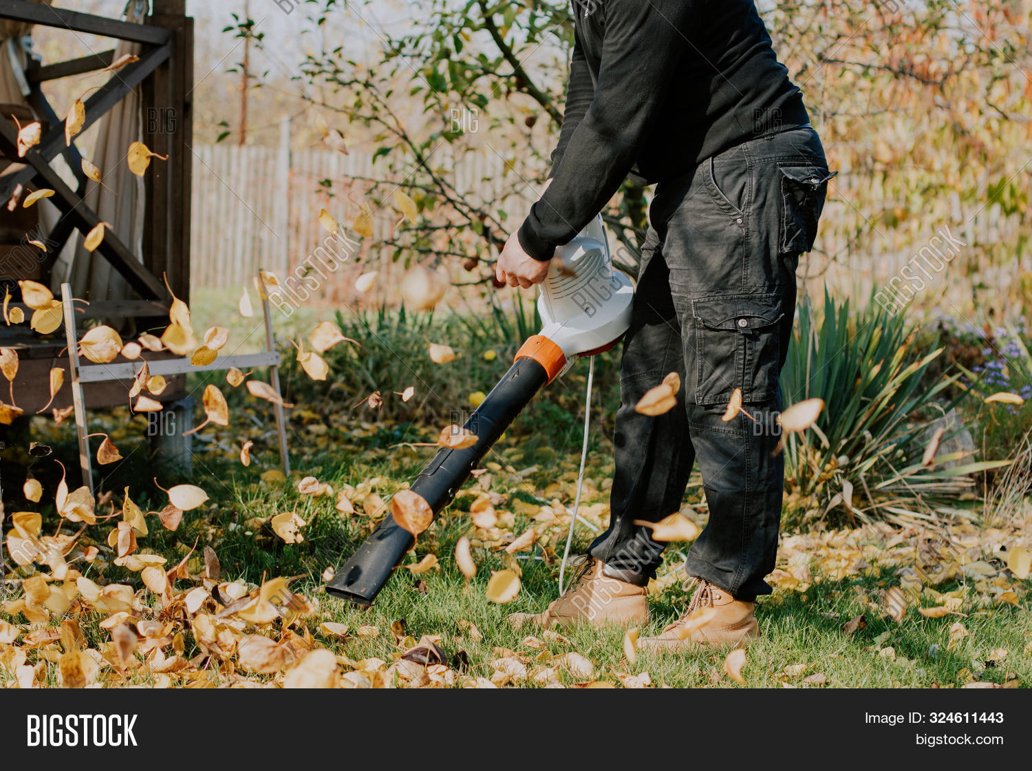 Garden Leaf Cleaning, Image & Photo (Free Trial) Bigstock