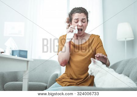 Woman Petting Her Cat And Sneezing While Having Allergy
