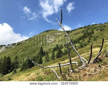 Tierberg Mountain Above The Oberseetal Valley And In The Glarus Alps Mountain Masiff, Nafels (näfels