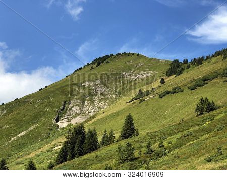 Tierberg Mountain Above The Oberseetal Valley And In The Glarus Alps Mountain Masiff, Nafels (näfels