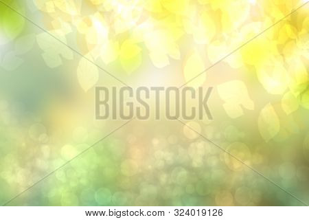 Abstract Bright Spring Or Summer Landscape Texture With Natural Light Green Bokeh Lights And Bright 