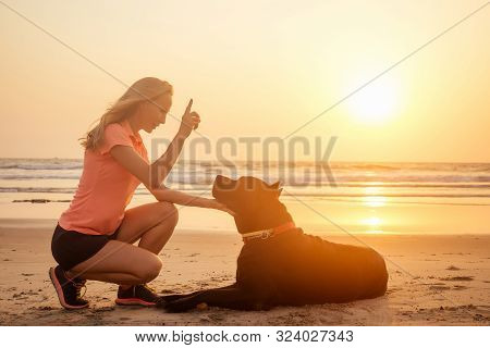 Cane Corso And Trainer Dog Chew Toy At Sea Beach At Sanset