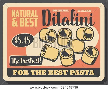 Ditalini Pasta In Shape Of Small Tubes. Vector Traditional Italian Cuisine Food, Tubettini. Short Ma
