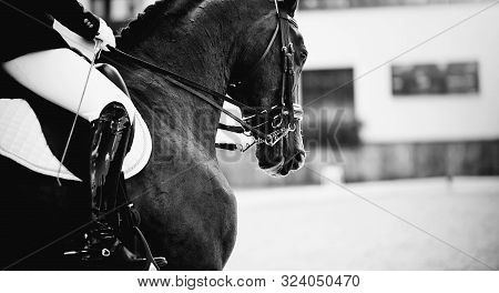 Equestrian Sport.the Leg Of The Rider In The Stirrup, Riding On A Brown Horse. Dressage Of Horses In