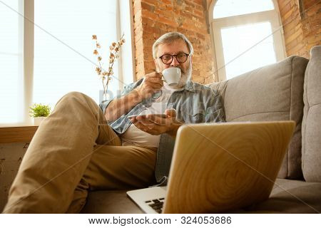 Senior Man Working With Laptop At Home - Concept Of Home Studying. Caucasian Male Model Sitting On S