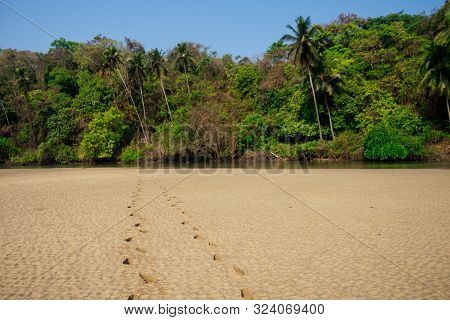 Cola Colva Beach In Paradise Goa Copyspase