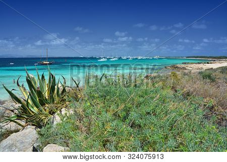 Scenic Lanscape Of Formentera Island. Balearic Sea Coast, Beach And Flora.