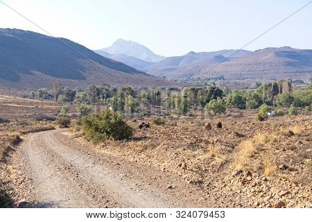 Dirt Road Leading To Town Of Nieu-bathesda