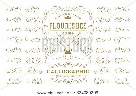 Calligraphic Design Elements Vintage Ornaments Swirls And Scrolls Ornate Decorations Vector Design E