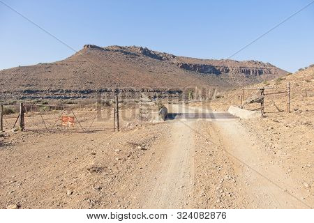 Cattle Grid On Karoo Farm Dirt Road Near Nieu-bathesda