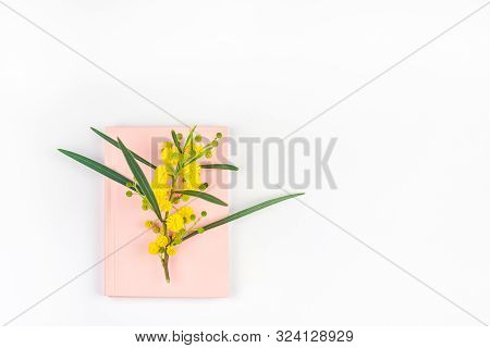 Acacia Pycnantha Or Mimosa Twig With Yellow Fluffy Flowers On Pink Notebook Isolated On White Backgr