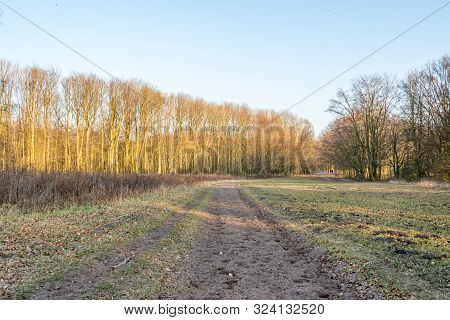 Autumn Scene With Red Yellow Brown And Orange Colors The Change Of Seasons