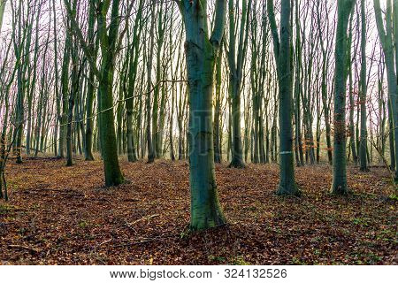 Autumn Scene With Red Yellow Brown And Orange Colors The Change Of Seasons