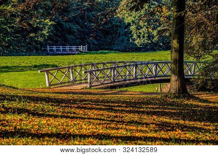 Autumn Scene With Red Yellow Brown And Orange Colors The Change Of Seasons