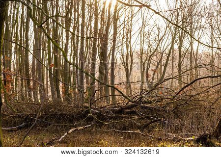 Autumn Scene With Red Yellow Brown And Orange Colors The Change Of Seasons