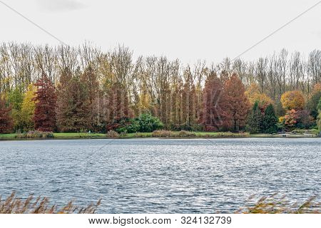 Autumn Scene With Red Yellow Brown And Orange Colors The Change Of Seasons