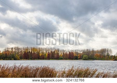 Autumn Scene With Red Yellow Brown And Orange Colors The Change Of Seasons