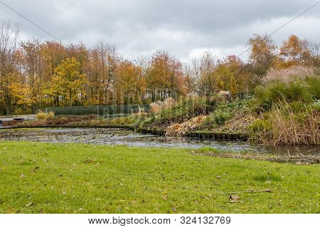 Autumn Scene With Red Yellow Brown And Orange Colors The Change Of Seasons
