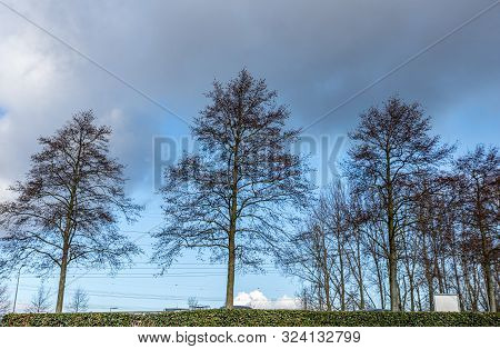 Autumn Scene With Red Yellow Brown And Orange Colors The Change Of Seasons