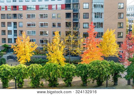 Autumn Scene With Red Yellow Brown And Orange Colors The Change Of Seasons