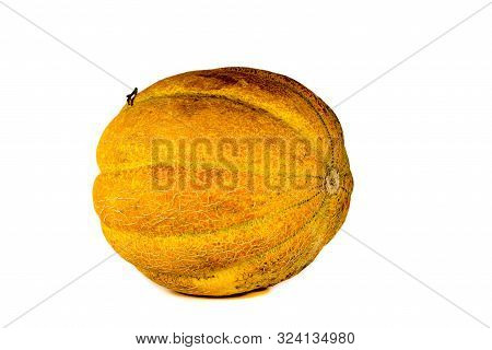 Melon Isolated On White Background. Copy Space For Text