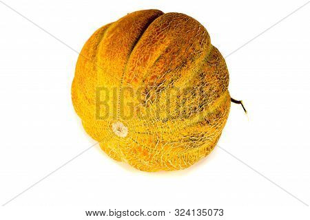 Melon Isolated On White Background. Copy Space For Text