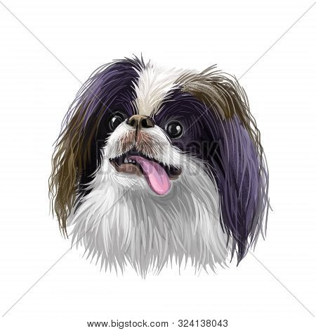 Jamthund, Swedish Elkhound, Swedish Moosehound Dog Digital Art Illustration Isolated On White Backgr
