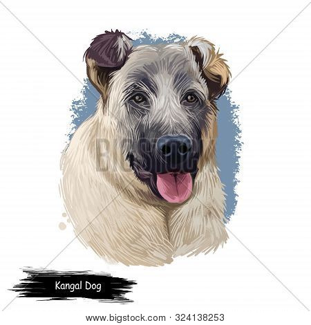 Kangal Dog, Kangal Shepherd Dog, Sivas Kangal, Turkish Kangal, Anatolian Shepherd Dog Digital Art Il