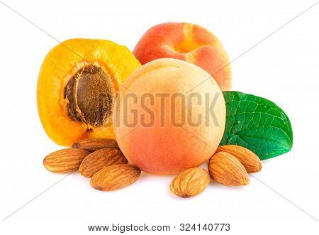 Apricot With Fruit Kernel And Stones On White Background