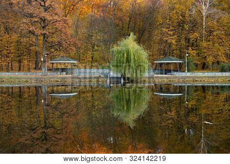 Evening In The Autumn City Park.
Trees Are Reflected In The Pond. Ukraine, Kyiv. 
